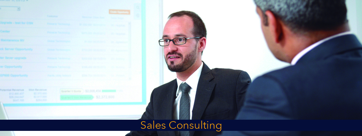 Sales Consulting